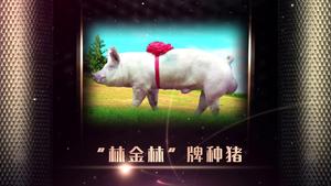 获奖