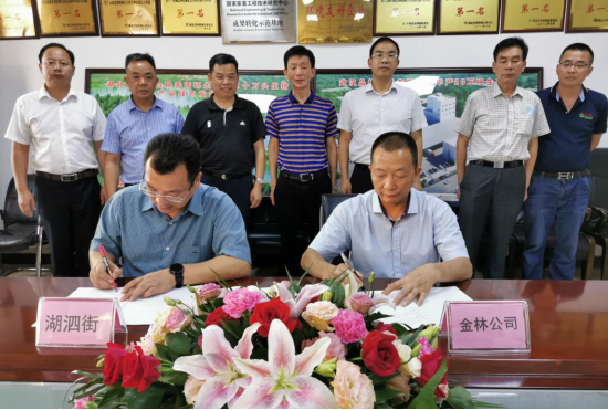 湖泗街与金林公司签署深化扶贫合作协议 - 湖北金林原种畜牧有限公司